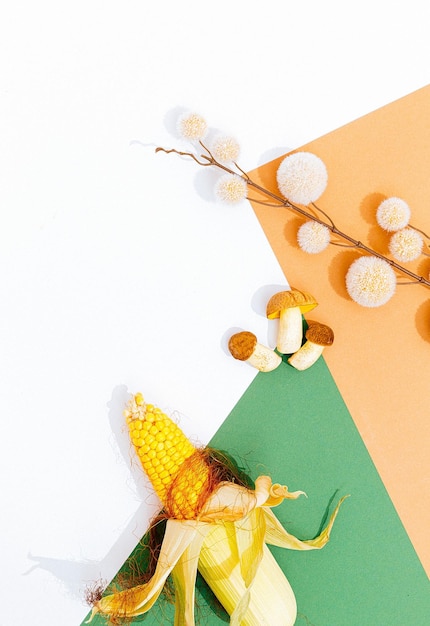 Scène minimaliste fraîche Brunch au décor de champignons