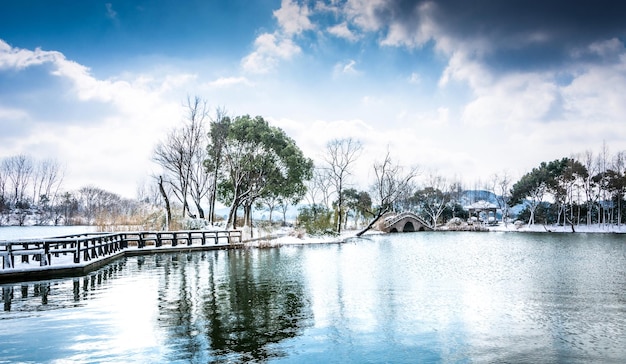 Scène de neige de parc d'hiver