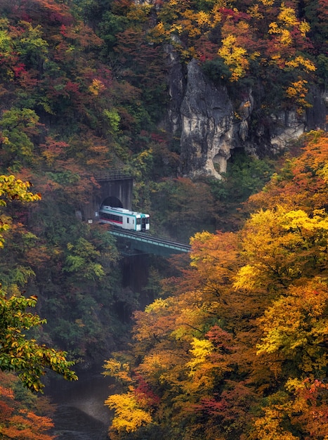 Scène de paysage de Amazing Naruko Gorge en saison d&#39;automne multicolore