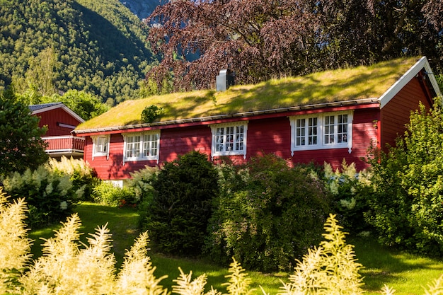 Scène pittoresque du village d'Urke et du fjord Hjorundfjorden, Norvège.