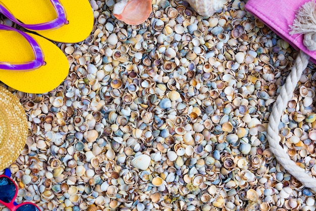 Scène de plage Accessoires femme Lunettes de soleil sandales tongs et sac de plage allongé sur des coquillages de mer