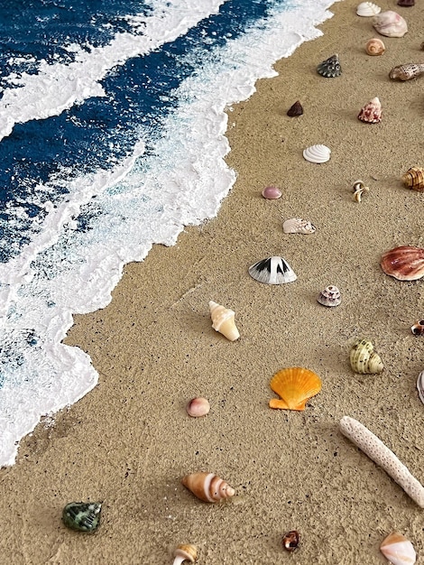 Une scène de plage avec des coquillages et une vague blanche.