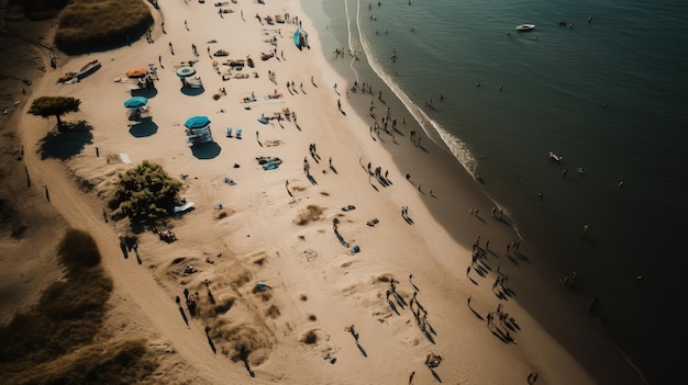 Scène de plage Delta en qualité 8k à contraste élevé