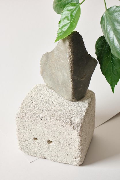 Photo scène pour la présentation du produit faite de blocs de béton de pierres et de feuilles sur un modèle vierge de maquette de fond clair