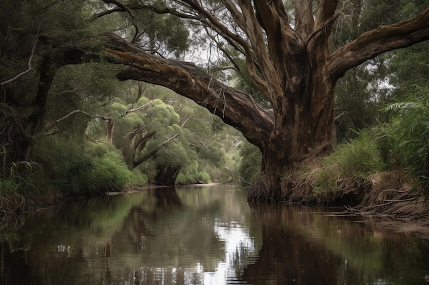 Une scène de rivière avec un arbre surplombant l'eau