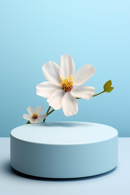 Scène ronde vide pour produit Podium piédestal pour plate-forme de démonstration de produit Minimalisme fleurs volumineuses couleur pastel bleu