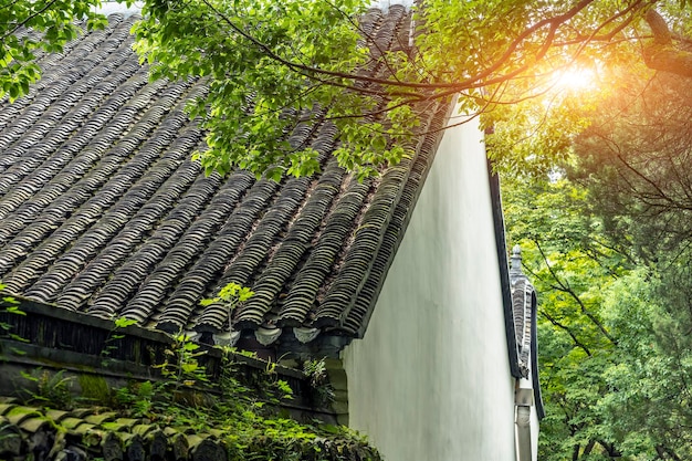 Scène de rue de paysage de jardin chinois