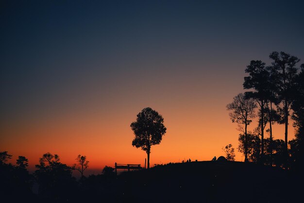 Scène rurale d'arbre de silhouette sur la montagne avec le ciel coloré de coucher du soleil