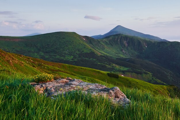 Scène rurale. Majestueuses montagnes des Carpates. Beau paysage. Une vue à couper le souffle.