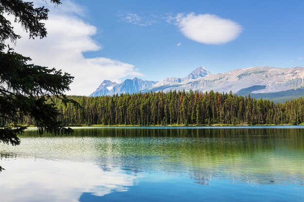 Scène sereine au bord du lac au Canada