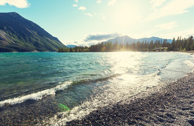 Scène sereine au bord du lac au Canada