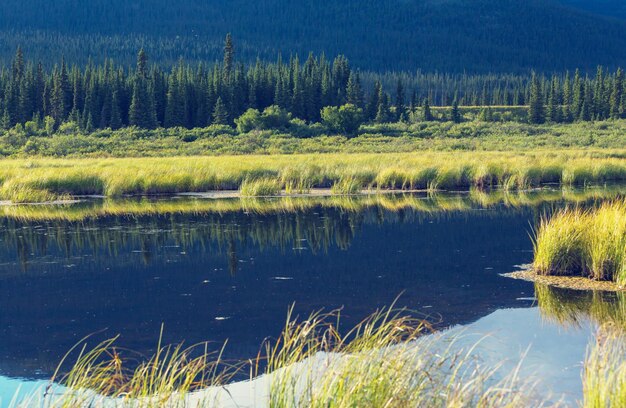 Scène sereine au bord du lac au Canada