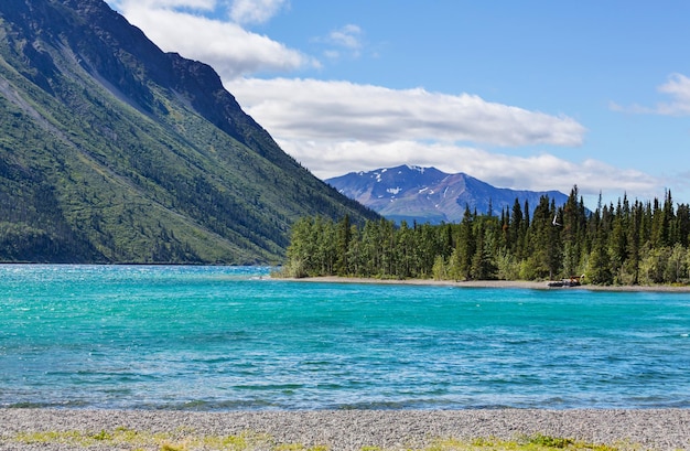 Scène sereine au bord du lac au Canada