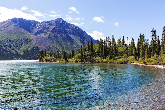 Scène sereine au bord du lac au Canada