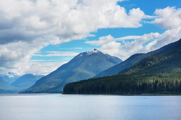 Scène sereine au bord du lac au Canada