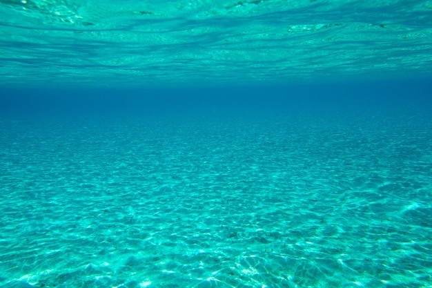 Scène sous-marine avec espace copie