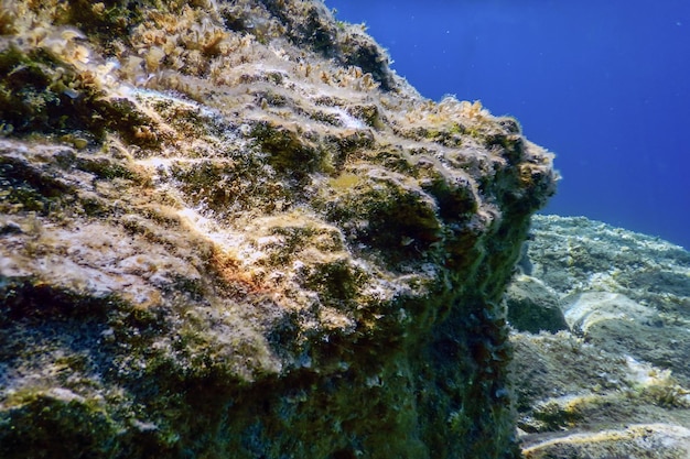 Scène sous-marine Lumière du soleil, poisson Vie sous-marine.