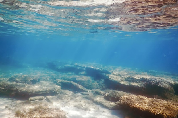 Scène sous-marine Lumière du soleil, poisson Vie sous-marine.