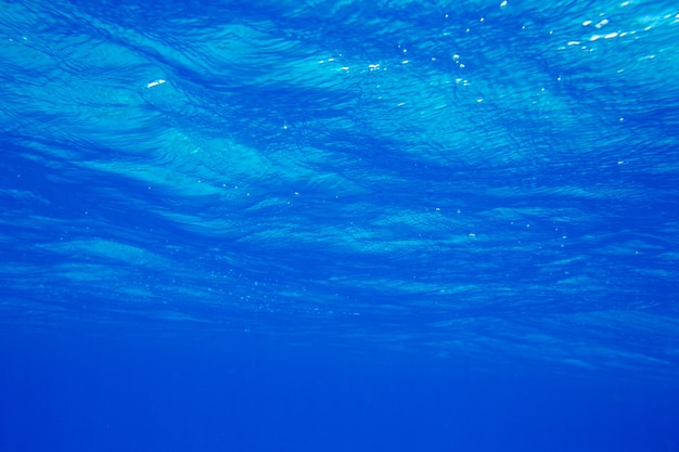 Scène sous-marine tranquille avec des détails