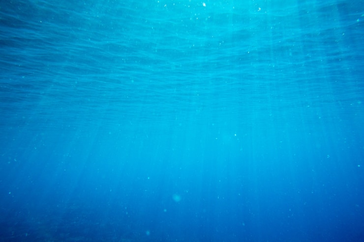 Photo scène sous-marine tranquille avec espace copie
