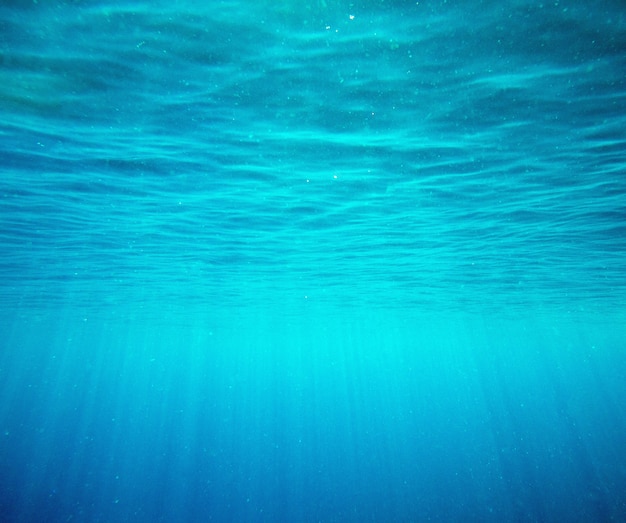 Photo scène sous-marine tranquille avec espace copie