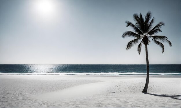 Scène tranquille de la plage de l'océan bleu