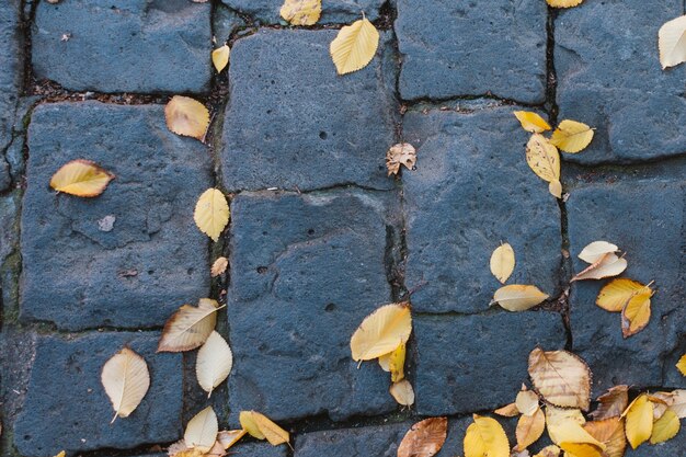 Scène urbaine en automne.