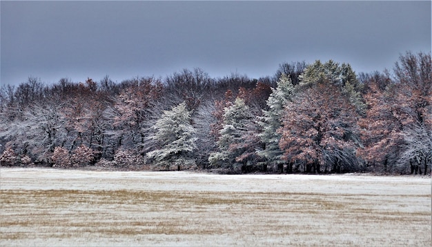 des scènes d&#39;hiver