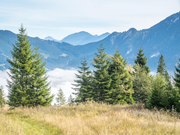 Scènes de Kolbensattel près d'Oberammergau