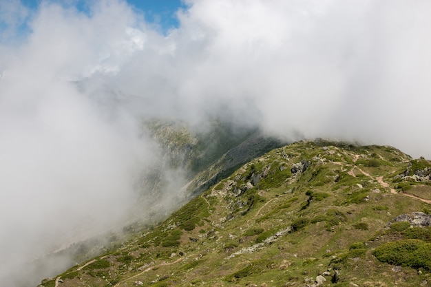 Scènes de montagnes, promenade à travers le grand glacier d'Aletsch, route Aletsch Panoramaweg dans le parc national Suisse, Europe. Paysage d'été, ciel bleu et journée ensoleillée