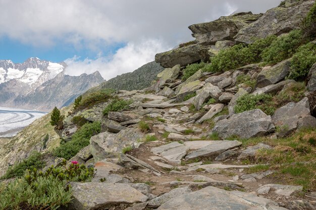 Scènes de montagnes, promenade à travers le grand glacier d'Aletsch, route Aletsch Panoramaweg dans le parc national Suisse, Europe. Paysage d'été, ciel nuageux et journée ensoleillée