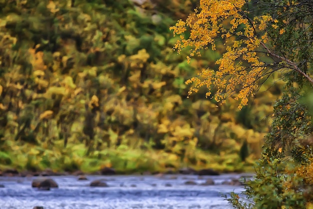 scénique, arbres de paysage d'automne et rivière et lac de forêt, fond d'automne de vue de nature