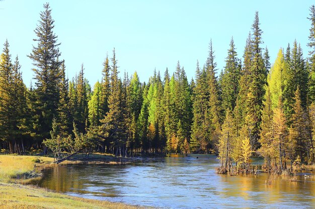 scénique, arbres de paysage d'automne et rivière et lac de forêt, fond d'automne de vue de nature