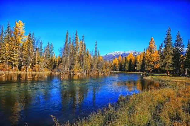 scénique, arbres de paysage d'automne et rivière et lac de forêt, fond d'automne de vue de nature