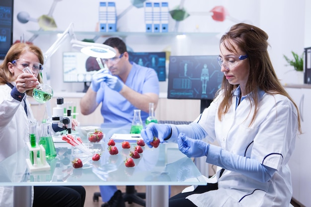 Scientifique d'âge moyen portant des gants de protection dans un laboratoire de recherche. Essais sur fraises.