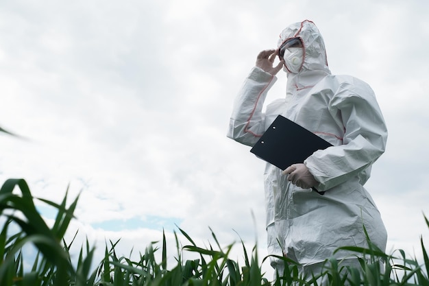 un scientifique en combinaison EPI blanche protectrice traite les semis pulvérise les feuilles avec des engrais et se bat