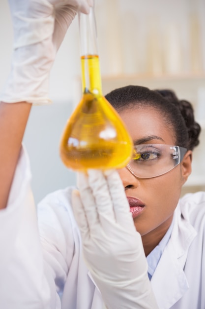 Scientifique examinant Pétri avec du liquide orange à l&#39;intérieur