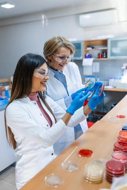 Scientifique examinant une solution dans une boîte de Pétri dans un laboratoire Scientifique de laboratoire examinant et utilisant une expérience de laboratoire sur une boîte de Pétri