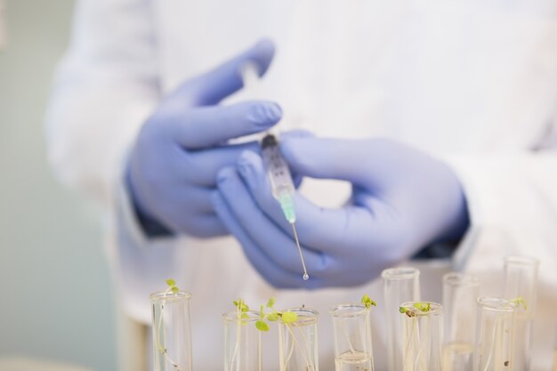 Scientifique faisant des expériences dans les plantes