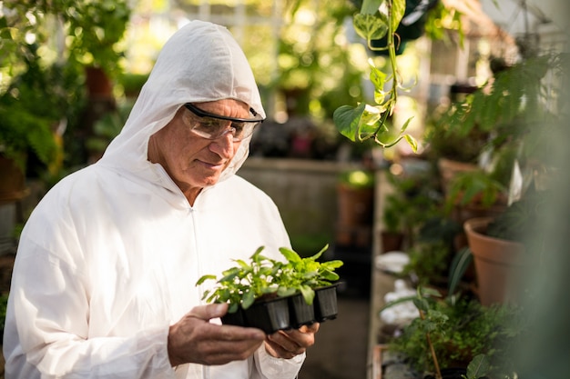 Scientifique masculin examinant les jeunes plants