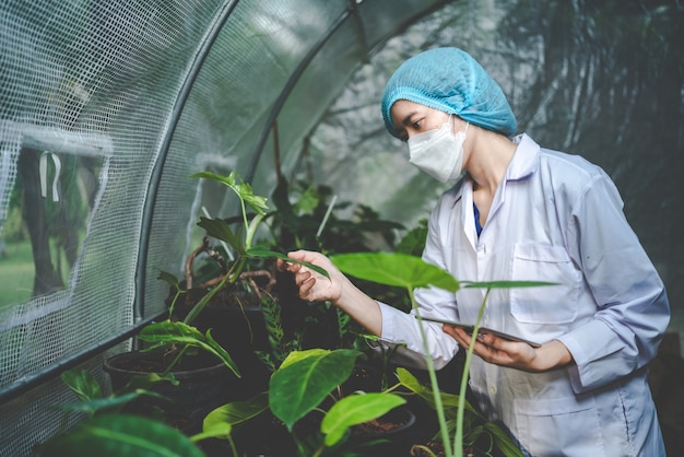 Scientifique de recherche en biotechnologie travaillant dans un laboratoire de sciences biologiques, technologie génétique, étude d'écologie scientifique, expérience d'échantillon de croissance végétale examinant le test