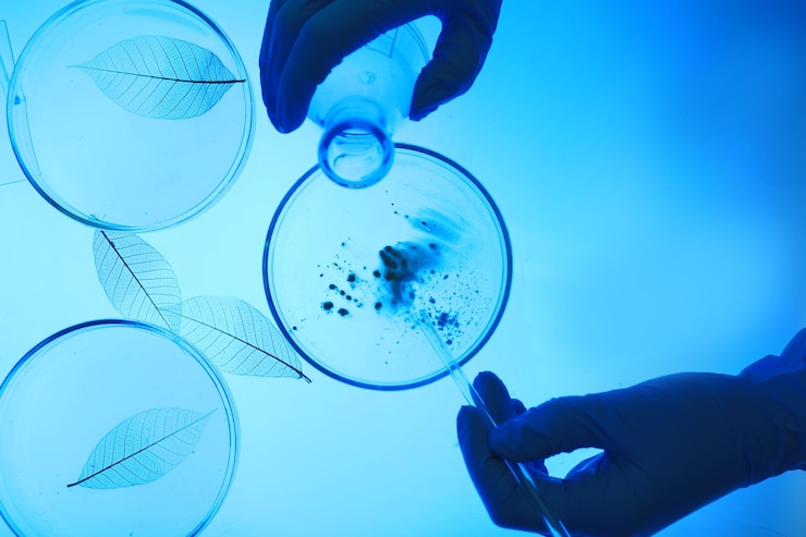 Photo scientifique travaillant avec des boîtes de pétri en laboratoire