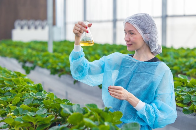 Scientifique travaillant dans l'agriculture biologique ferme recherche nouvel extrait de formule chimique de plante pour concept médical