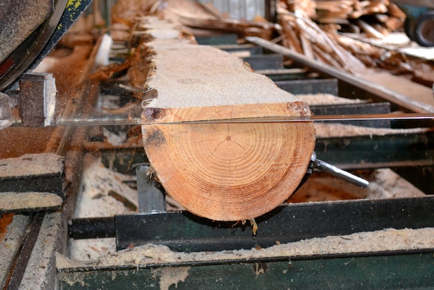 Scierie Le processus d'usinage des grumes dans la scierie scie le tronc de l'arbre