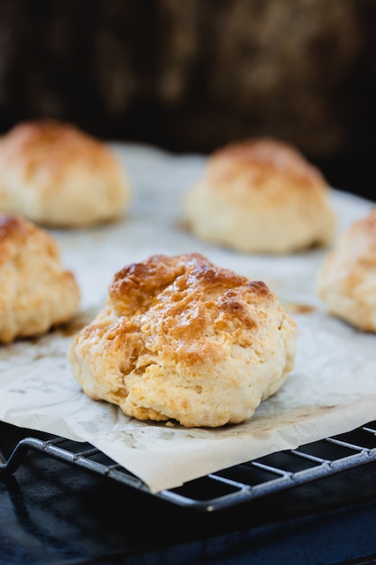 Scones sucrés faits maison avec du miel sur la grille du four sur une surface claire. Copiez l'espace.