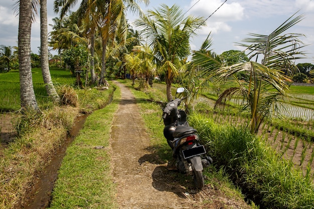 Scooter sur un chemin.