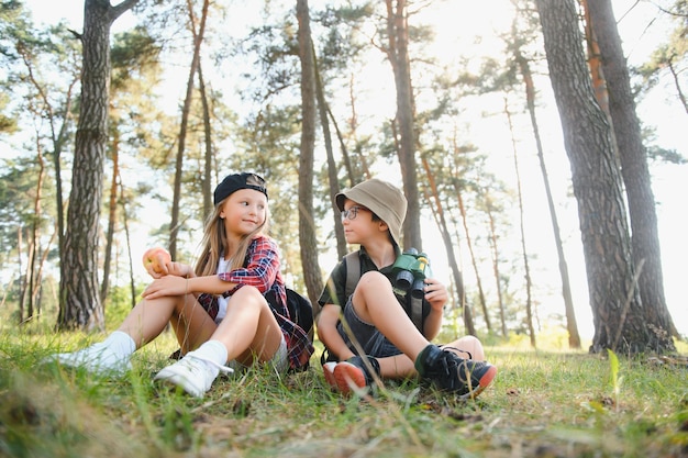 Scouts enfants dans la forêt