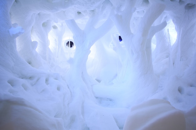 Sculpture sur glace