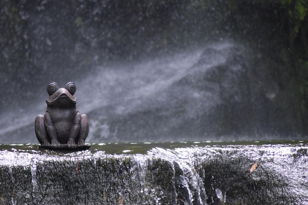 Sculpture de grenouille à la fontaine