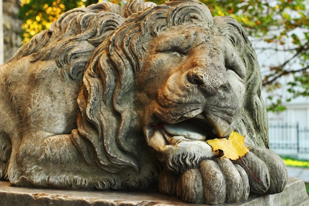Sculpture d'un lion dans la ville de Lviv